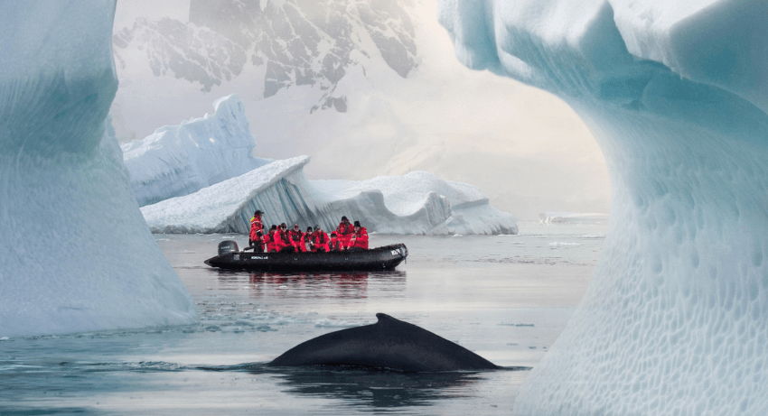 INCREDIBLE POLAR SCENERY