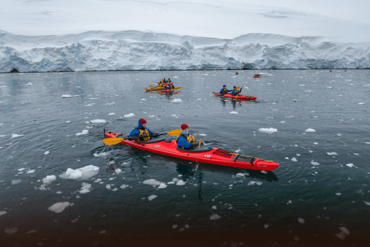 Polar Activities