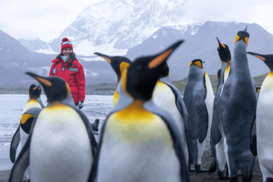 South Georgia & Falklands