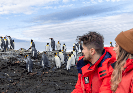 Falklands, South Georgia & Antarctica