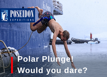 Polar Plunge! Would you dare?
