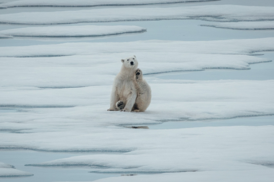 Svalbard Circumnavigation and Kvitøya