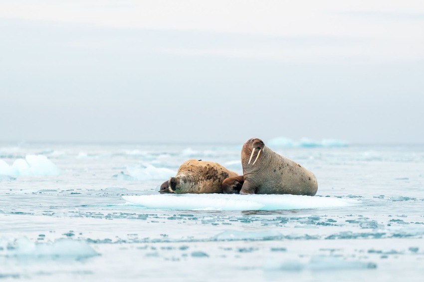 Northwest Territories and Yellowknife