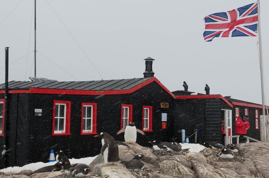 Who Lives in Antarctica and How People are There?