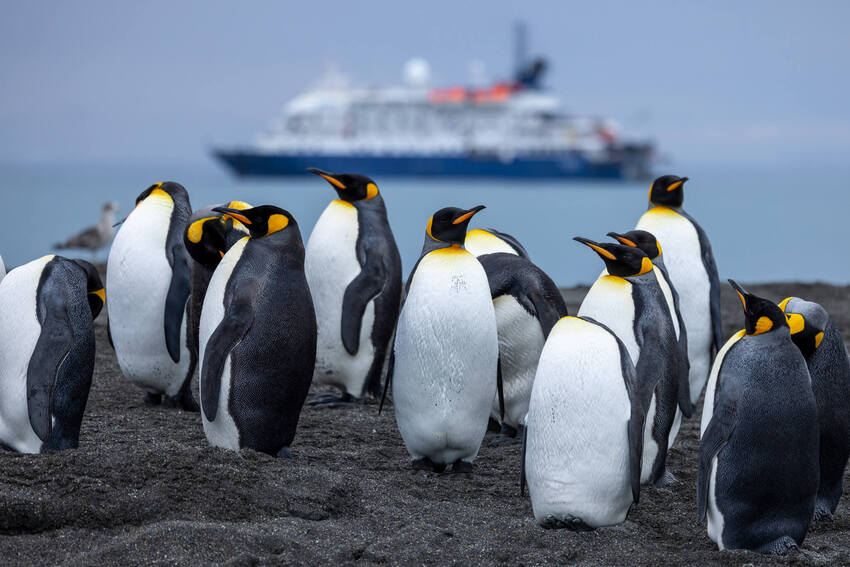 Has anyone given birth in Antarctica?