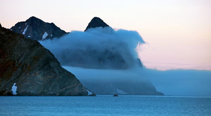 Why do Greenland sharks live so long? Why do Greenland sharks live so long?