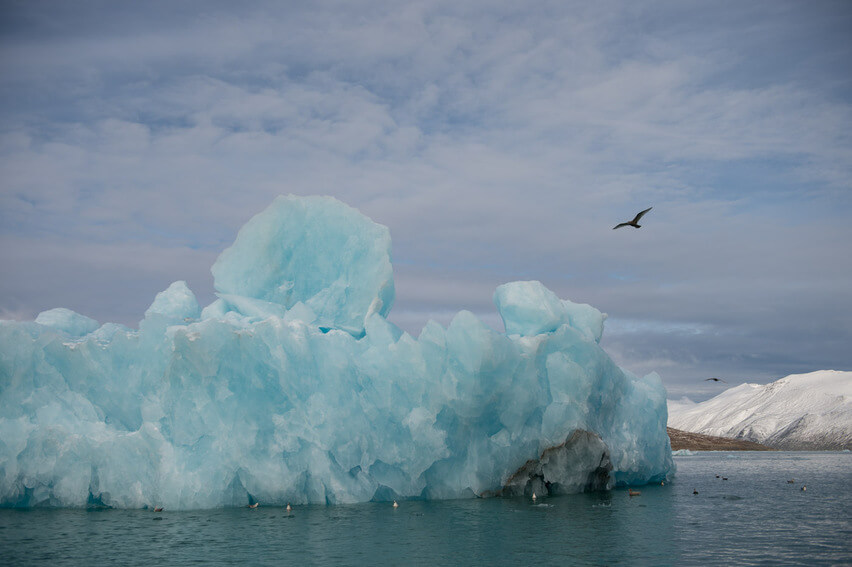 Top-5 things to do in Svalbard