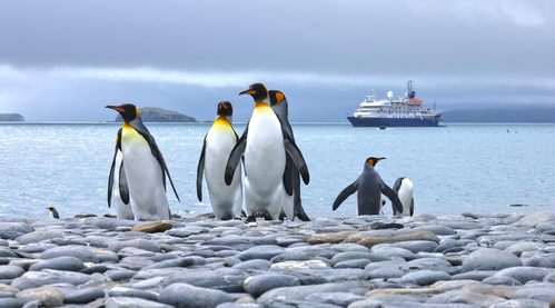 About the Antarctic Wildlife Cruise About the Antarctic Wildlife Cruise